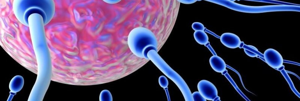 The Funniest Wedding Contests